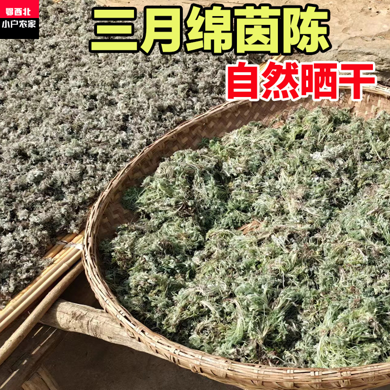 2025年3月茵陈中药材野生白蒿晒干绵茵陈泡茶喝茵陈蒿无硫棉茵陈