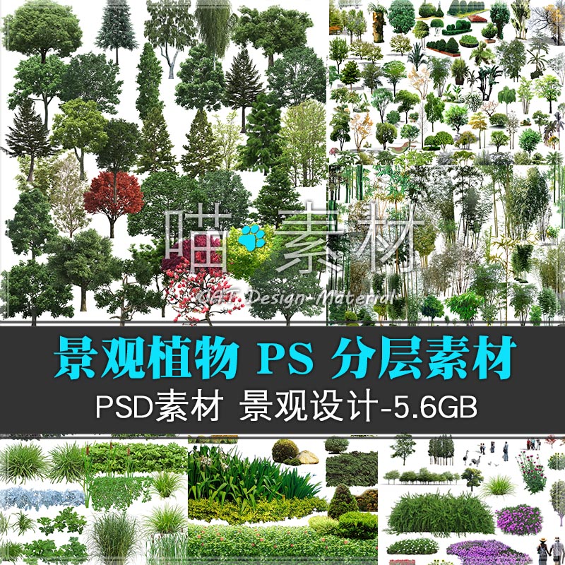 园林景观植物立面psd分层效果图ps素材乔灌木绿篱竹子花镜