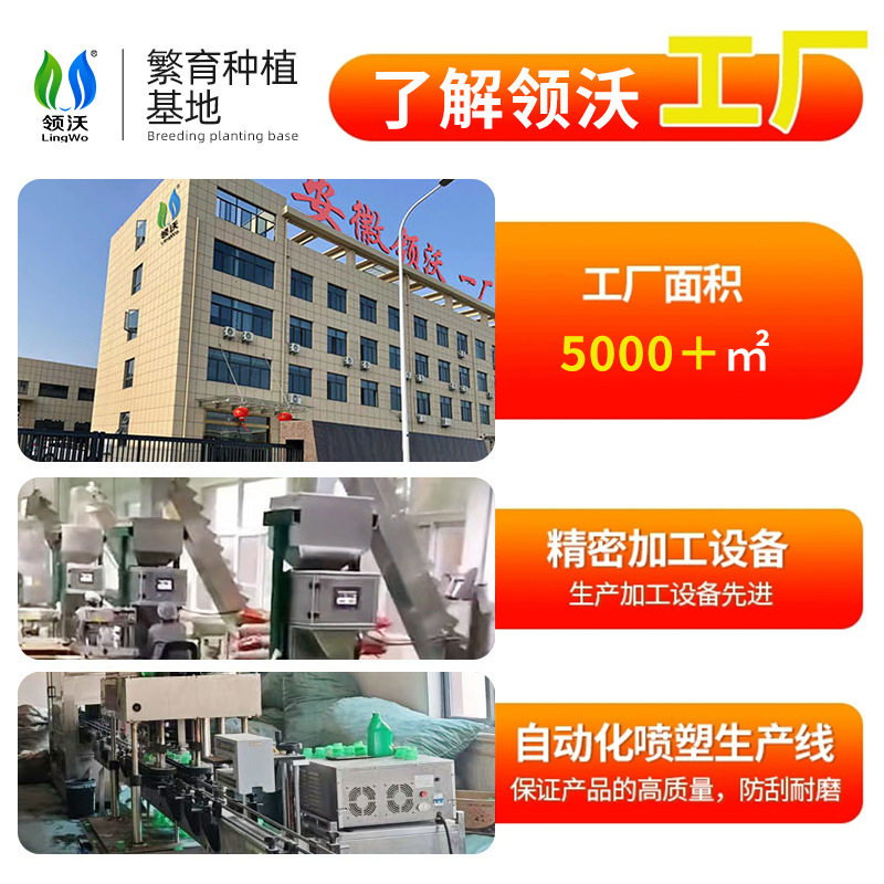 领沃硼肥果树颗粒促花坐果蔬菜蓝莓葡萄底肥叶面缓释肥水溶肥