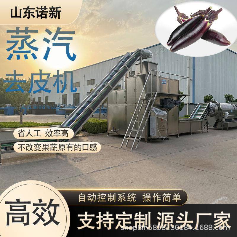 苹果快速褪皮机 葡萄蒸汽去皮机 榛子脱皮机 诺新科技