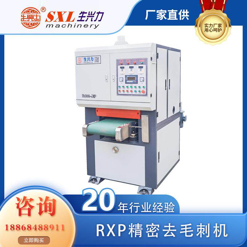 生兴力金属垫片去毛刺机精密金属抛光机金属磨光机浙江厂家