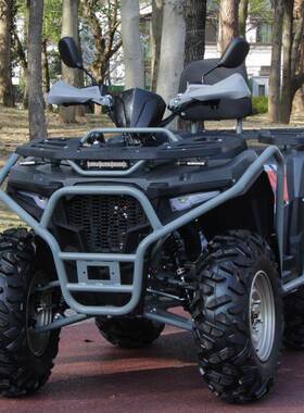 猛禽巴山00CC后驱摩托车链条传动全地形沙滩车atv四轮可坐人越野