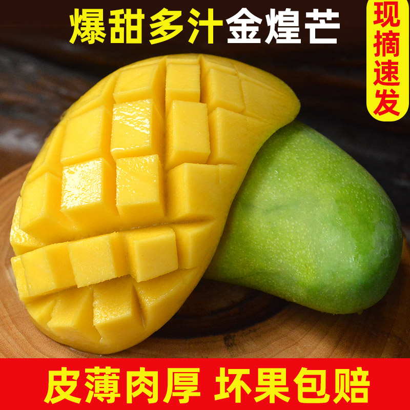金煌芒青芒新鮮應季水果水仙芒果樹上熟特大中果裝5/10斤