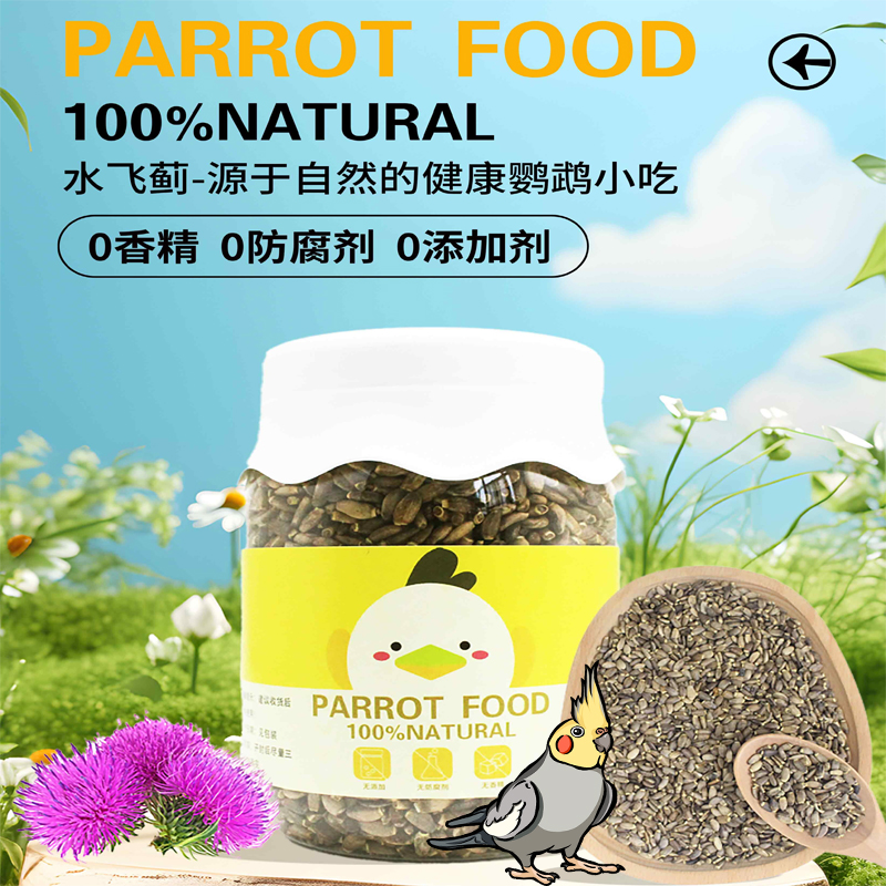 鹦鹉鸟食水飞蓟种子奶蓟护肝保肝抗炎带壳饲料零食小吃增强免疫力