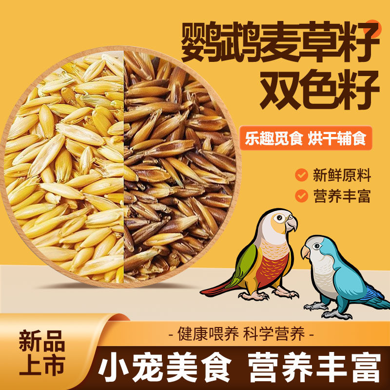 鹦鹉零食麦草籽双手草籽鸟带壳粮食饲料和尚小太阳鸟零食磨嘴辅食,宠物/宠物食品及用品,鸟食,淘宝优惠券,粉丝福利购,淘宝优惠卷