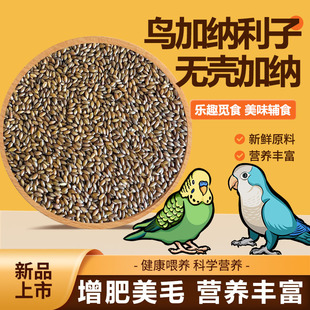 鹦鹉鸟食加纳利子无壳加纳利鸟饲料白尖虎皮牡丹鸟脱壳饲料营养粮