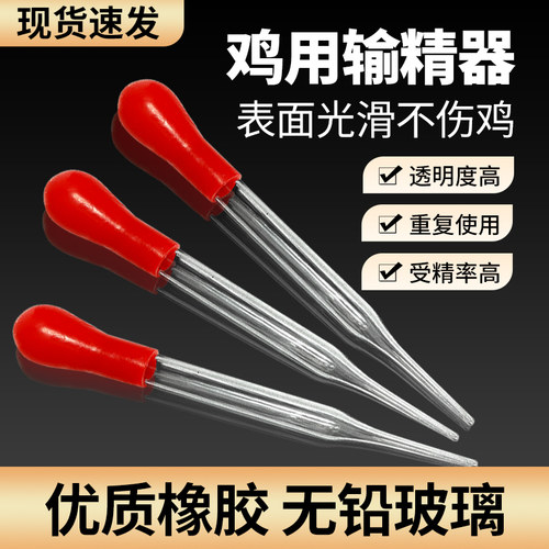 鸡用输精管家禽人工授精工具