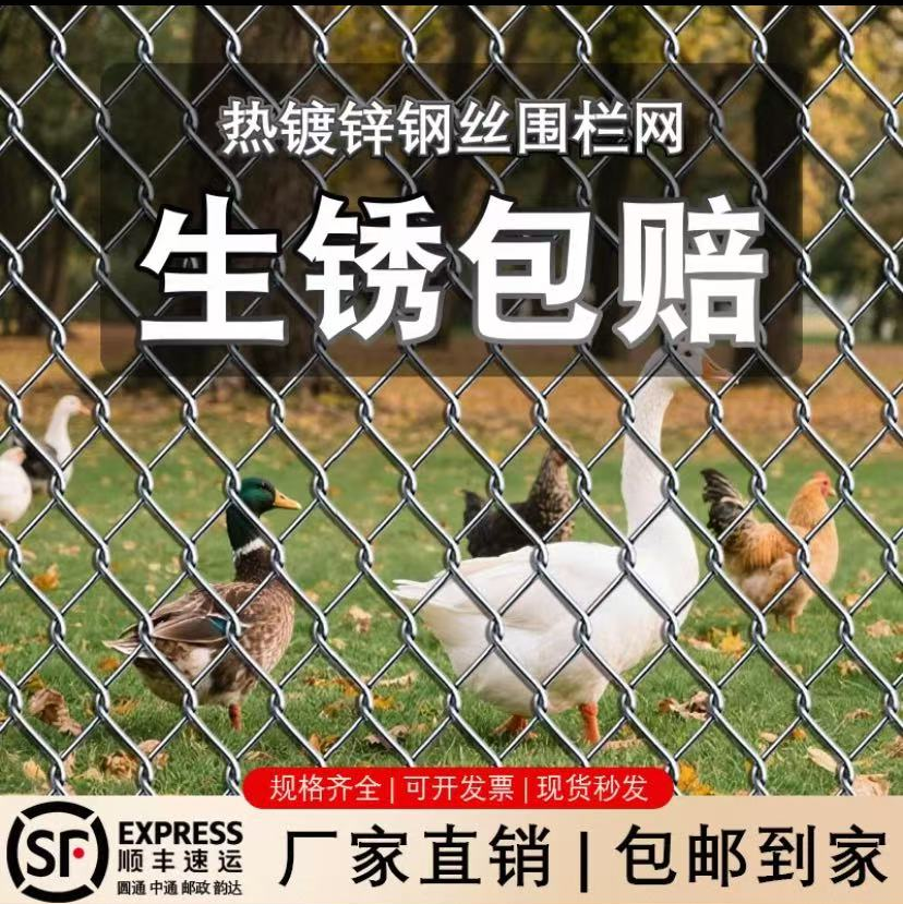 热镀锌铁丝网围栏网护栏网防护钢丝网圈果园菜地养鸡拦牛羊养殖网