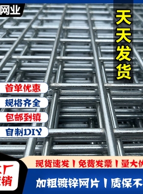 镀锌铁丝电焊网片小孔养殖养鸡鸭狗笼兔笼鸽舍网格网建筑防护隔离