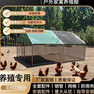 大型养殖鸡棚户外防雨棚大号家禽鸡笼子孔雀笼高级稳固搭建遮雨