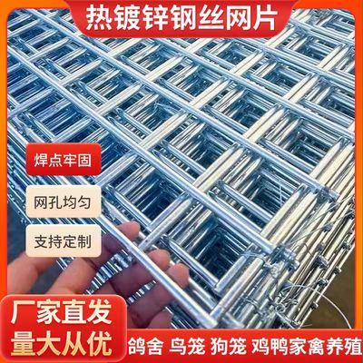 镀锌铁丝电焊网片小孔养殖养鸡鸭狗笼兔笼鸽舍网格网建筑防护隔离