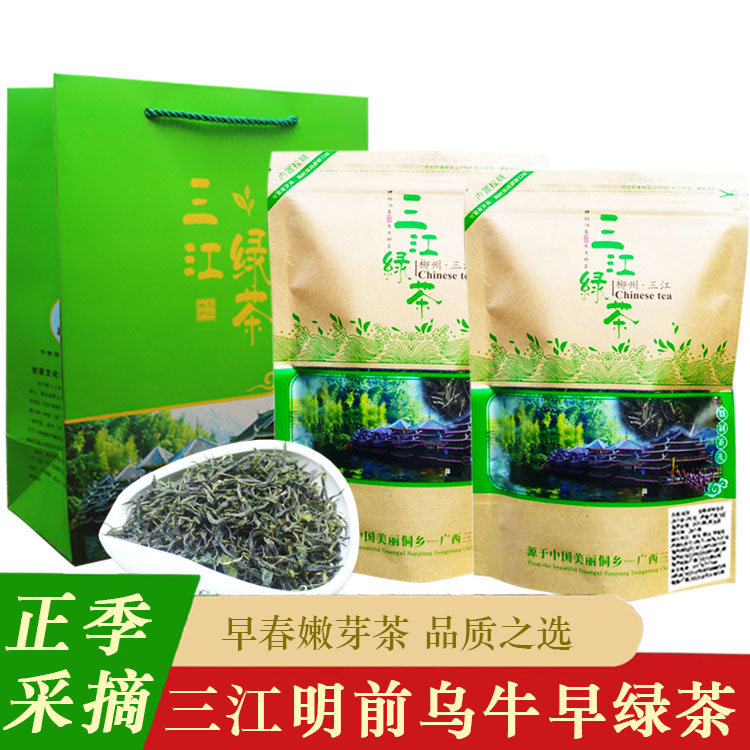 三江绿茶2024年新茶广西柳州三江春茶乌牛早绿茶布央高山茶