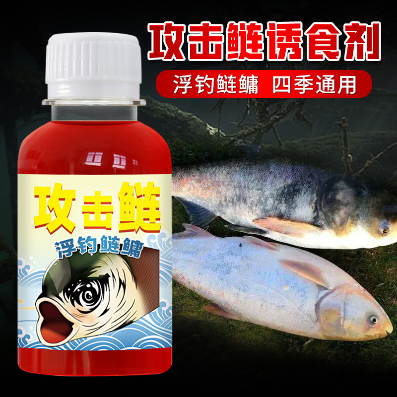 攻击鲢鳙钓鱼小药大头包头花白鲢
