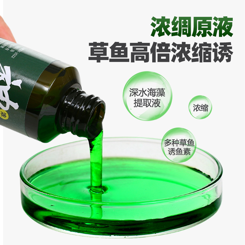 草鱼小药黑坑野钓草鱼泡玉米小药