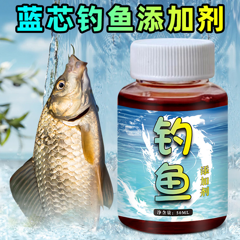 钓鱼添加主播网红钓鱼小药鲫鲤青