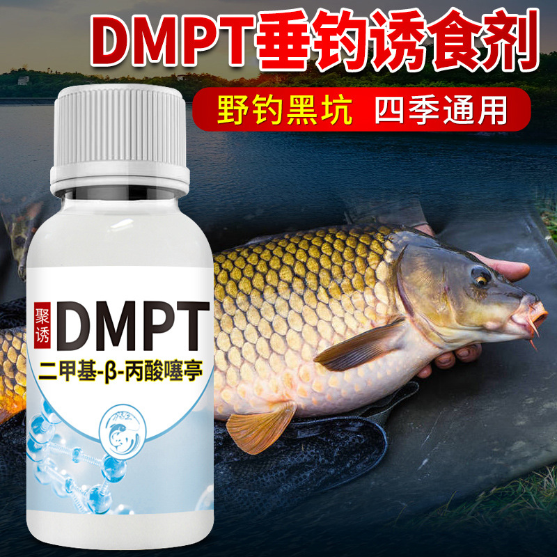 钓鱼小药DMPTdmpt鲫野钓鲤草开口