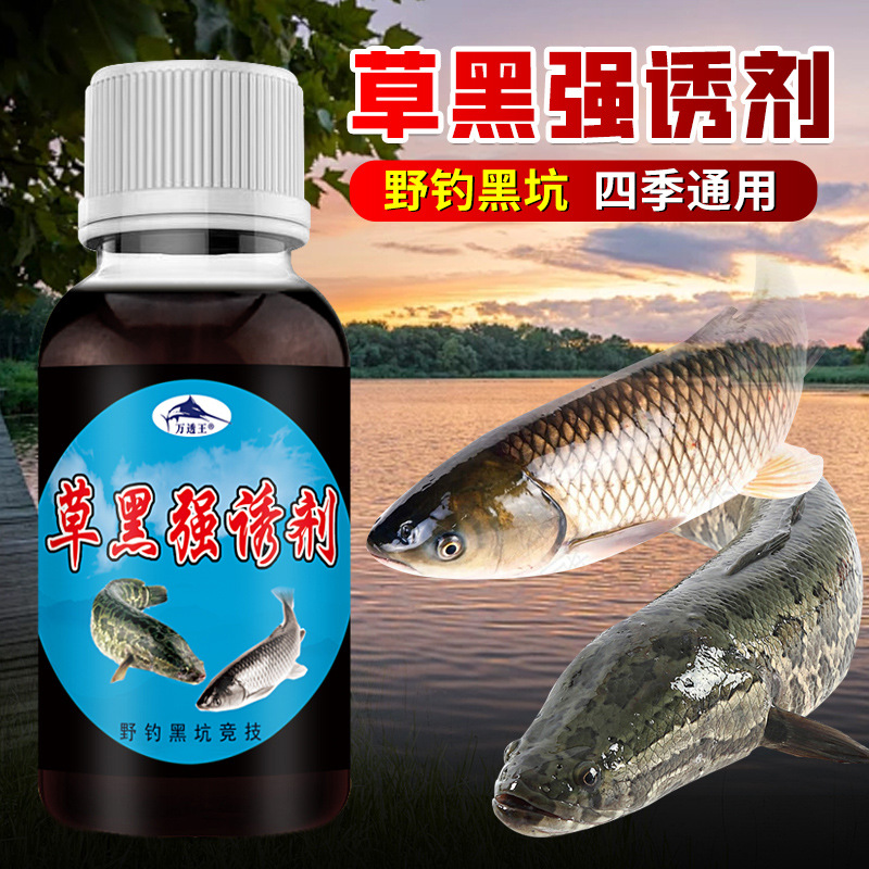 草黑强诱剂野钓鲫鲤鲈淡水鱼路亚