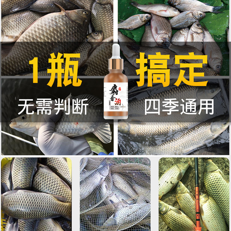 浓缩麝香酒钓鱼小药添加剂果酸黑