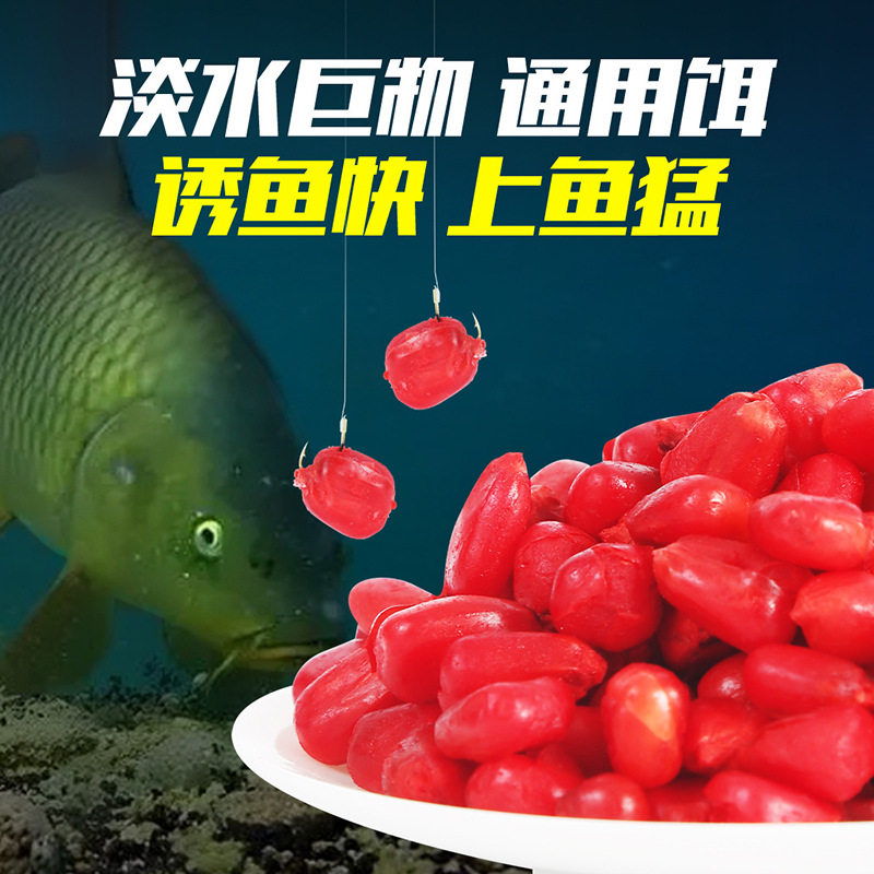 谷蜀香血玉米黑坑野钓水库垂钓用