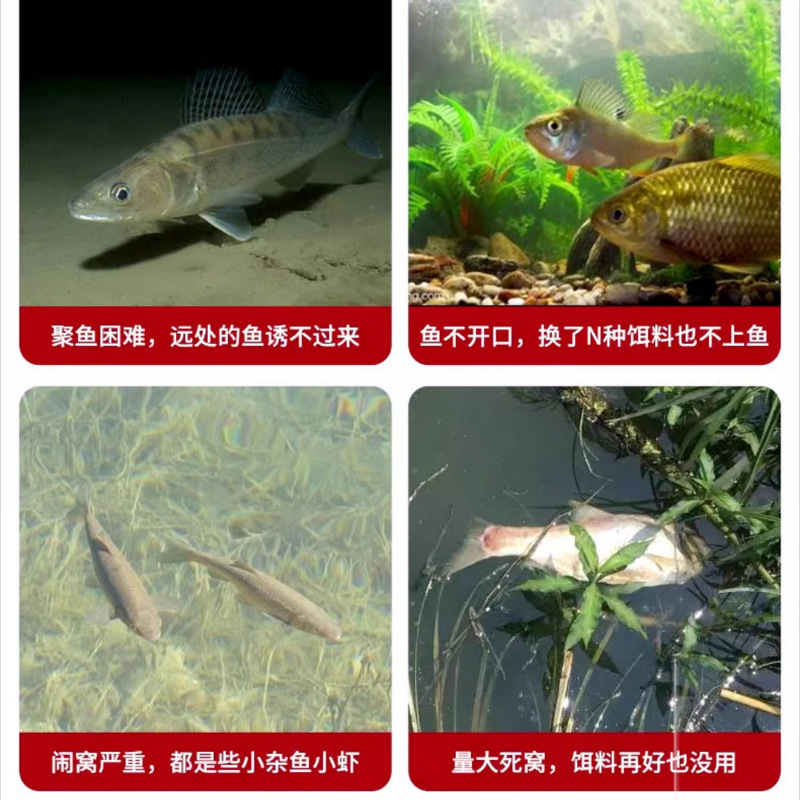 国之良羊油颗粒饵料免开饵钓鱼小