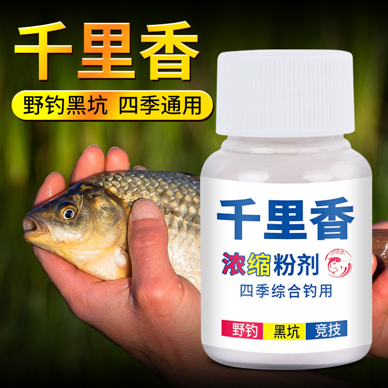 浓缩千里香钓鱼小药粉鲫鲤青草鲢