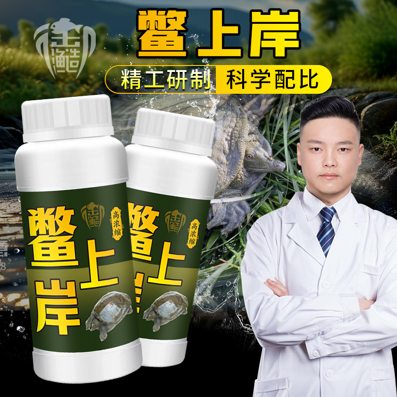 鳖上岸虾上岸甲鱼疯狂提诱甲灵龟