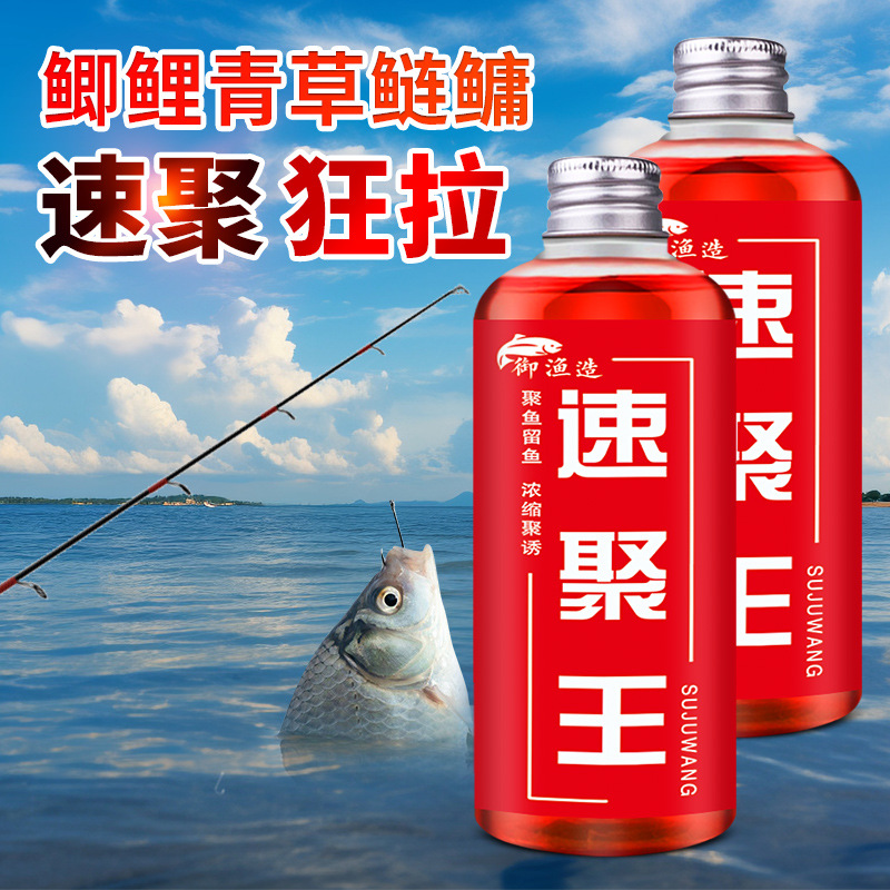 速聚王钓鱼小药水主播鲫鲤青草鲢
