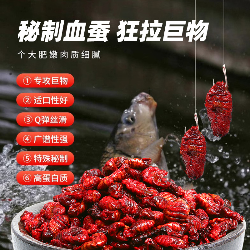 国之良血蚕蛹钓鱼饵料打窝野钓黑