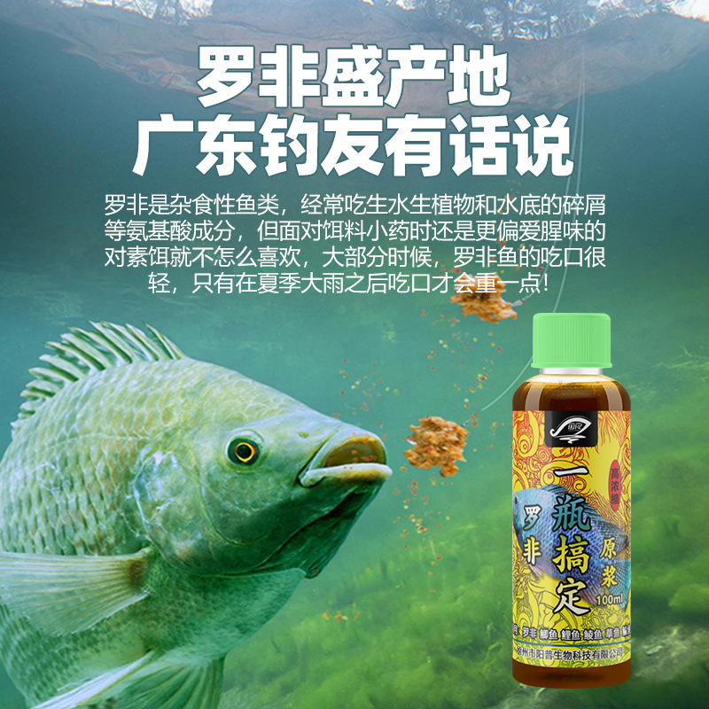 罗非小药黑坑野钓专用套装饵料窝