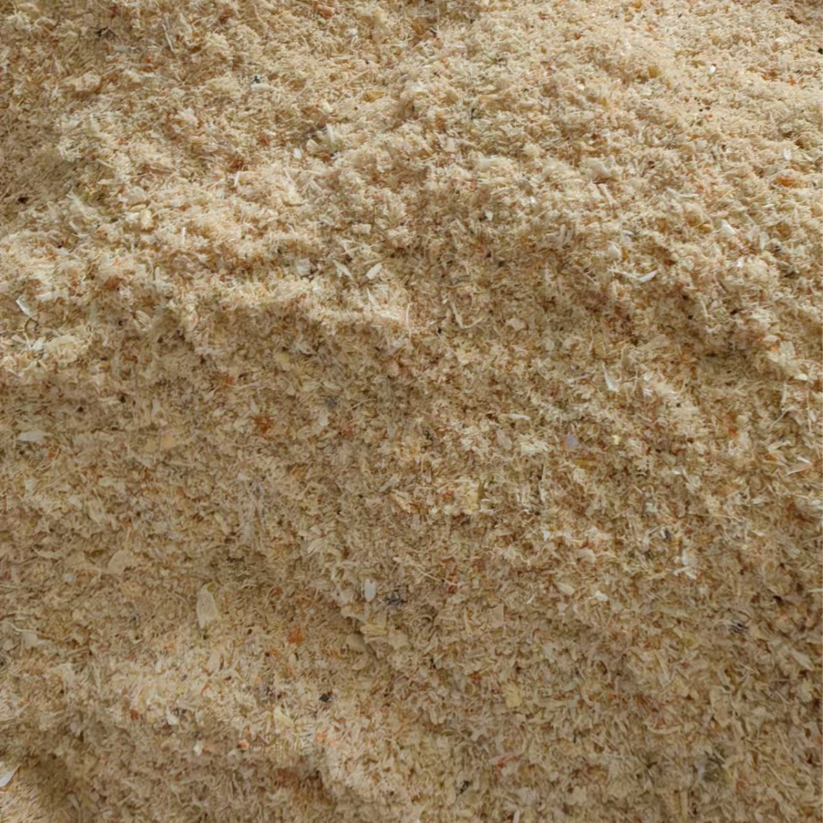 现货赤尾青浓腥虾粉饵料黑坑钓鱼