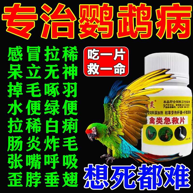 常备感冒腹泻玄凤鹦鹉鸟专用药