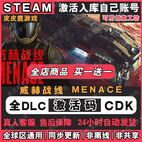 steam游戏威赫战线激活码入库国区区电脑中文游戏