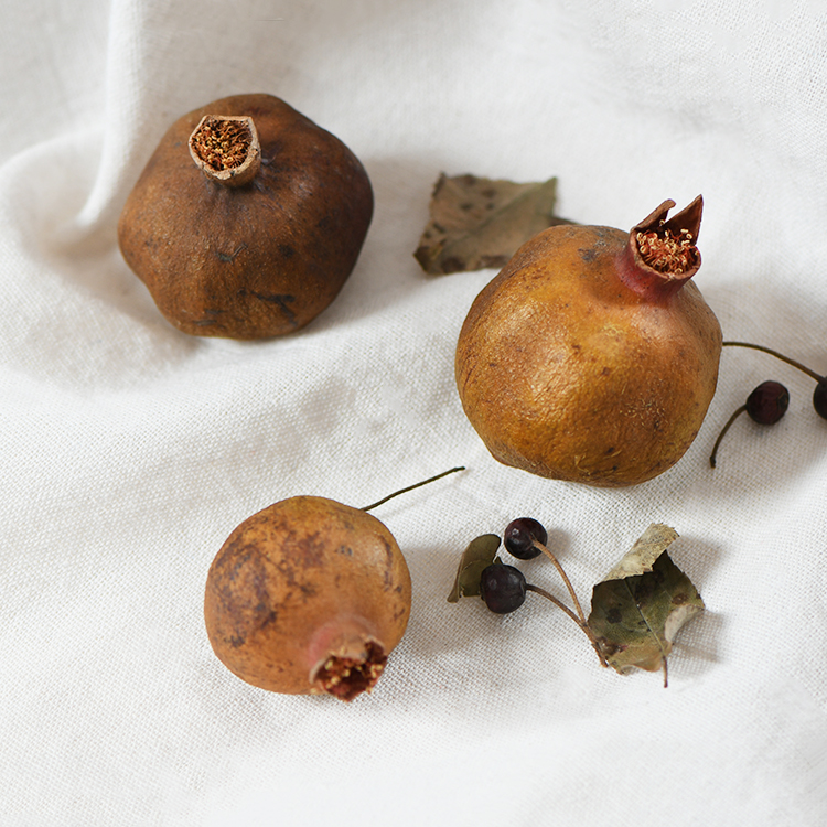 【大石榴】特色民宿植物标本干花