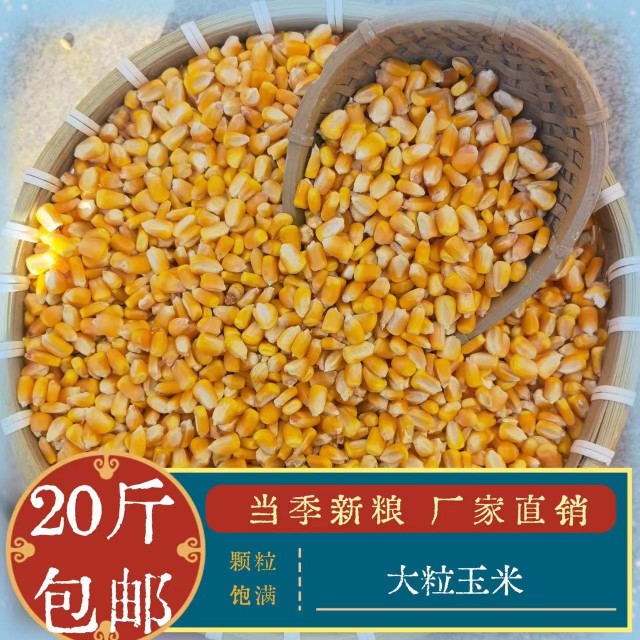 2024粮农家20斤装玉米粒鸽子粮酿酒鸡鸭鹅等饲料打窝喂鱼饲料