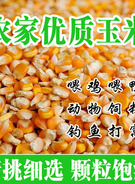 农家大颗粒玉米粒干玉米粒玉米籽苞谷米喂鸡鸭鹅兔子钓鱼打窝饲料