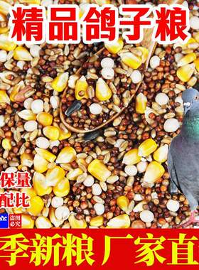 40斤价精品豌豆鸽子粮1营