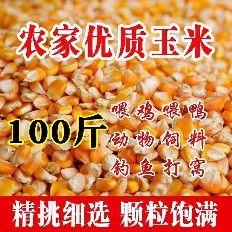 优选无尘新玉米粒100斤干玉米喂鸡鸭鹅饲料50斤玉米家禽粮食