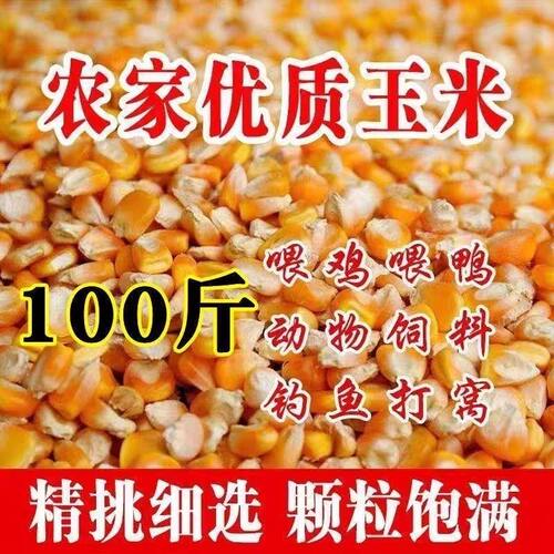 优选无尘新玉米粒100斤干玉米喂鸡鸭鹅饲料50斤玉米家禽粮食