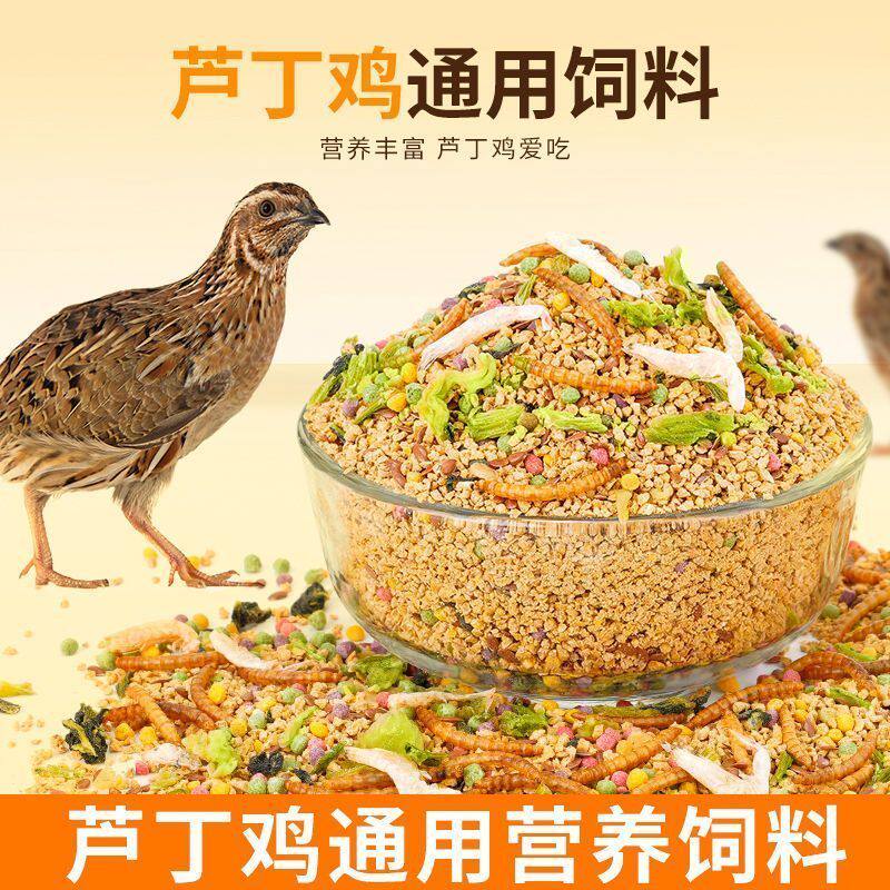 芦丁鸡高产饲料专用产蛋