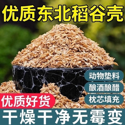 新鲜稻谷壳粗糠壳谷子壳稻糠壳动物宠物垫料保健枕头防震填充酿酒