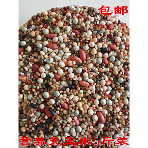 A级营养无玉米幼鸽粮赛飞信鸽鸟食肉鸽子饲料豌豆高粱小麦5斤包邮