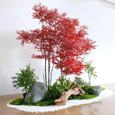 南天竹树苗庭院花镜植物耐寒植物