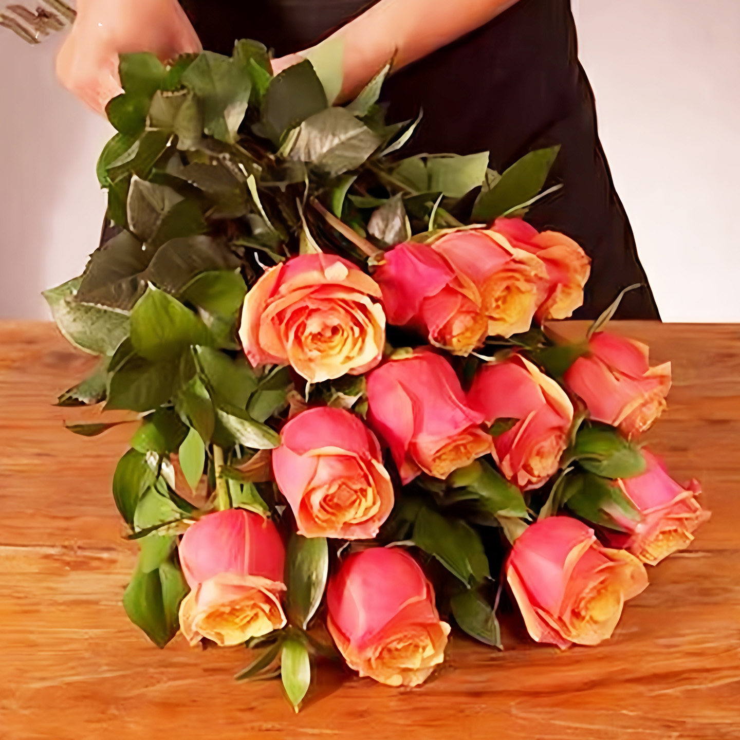 樱桃白兰地月季大苗阳台花园植物