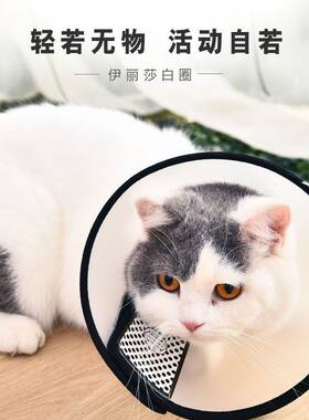 伊丽莎白猫圈 猫咪狗狗透明手术项圈脖套幼猫套头罩绝育防咬防舔