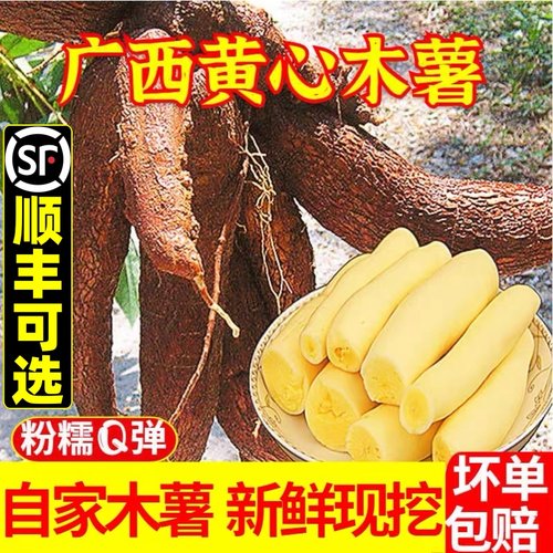去皮冷冻黄心木薯切块去芯黄肉