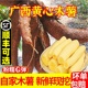 广西特产黄心木薯新鲜现挖黄肉面包木薯羹糖水店同款 鸡蛋板栗木薯