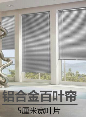 5厘米宽片百叶帘办公室玻璃隔断厂房遮光帘手动调节半遮光百叶窗