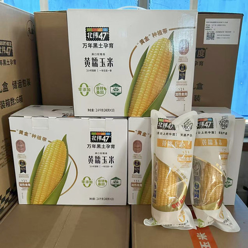 北纬47度黄糯玉米240g*10根非转基因东北黑土地健身代餐早晚餐