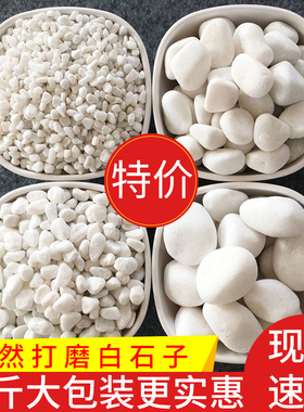 50斤白色石子石头大鹅卵石庭院铺路铺地小白石花园造景景观白石子