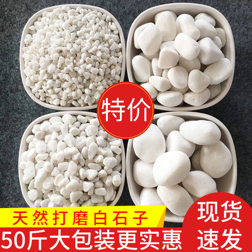 50斤白色石子石头大鹅卵石庭院铺路铺地小白石花园造景景观白石子 - 封面